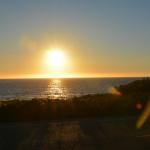 Cambria_2015_0173 (November 07, 2015)